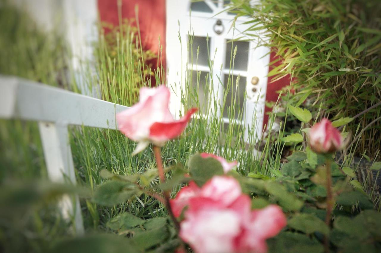 "Gemuetlich" 1-Zimmer Apartment Nah Am Wald 美因茨 外观 照片